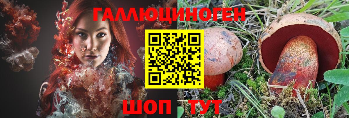 Псилоцибиновые грибы GOLDEN TEACHER  Вход с VPN  Чернушка 